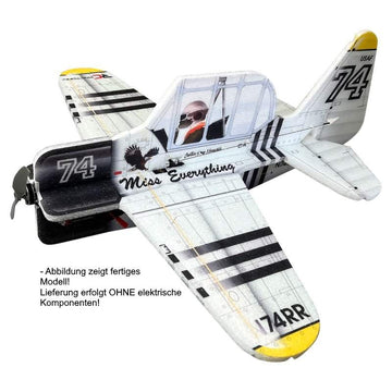 Cartoon Warbird TEXAN, Bausatz, Spw. 550mm, Pichler # 16352