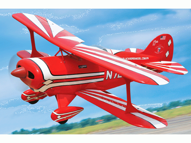 Pitts S1, ARF, 1500mm, Pichler # C5058