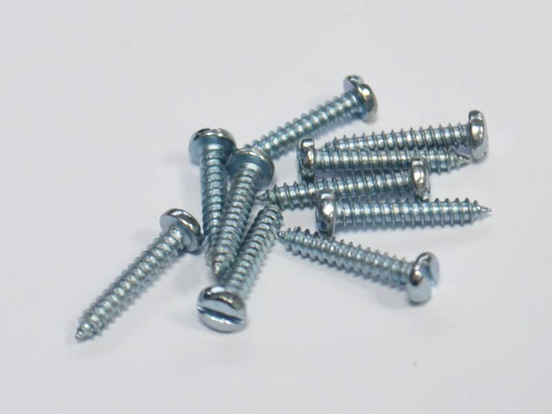 Self-tapping Screws 2.9x13.0 with Slot (10-pack)