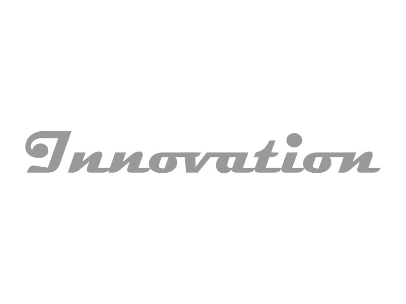 Schriftzug INNOVATION", grau (geplottet und ausgehoben auf Transferfolie)"