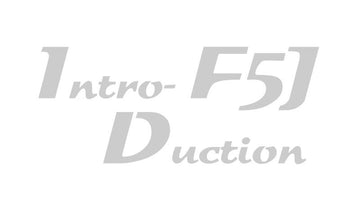 Schriftzug INTRODUCTION F5J", grau (geplottet und ausgehoben auf Transferfolie)"