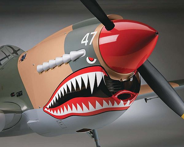 P-40 Warhawk Giant, Simpr. # 0309753, Semi-Scale ARF-Modell in höchster Qualität